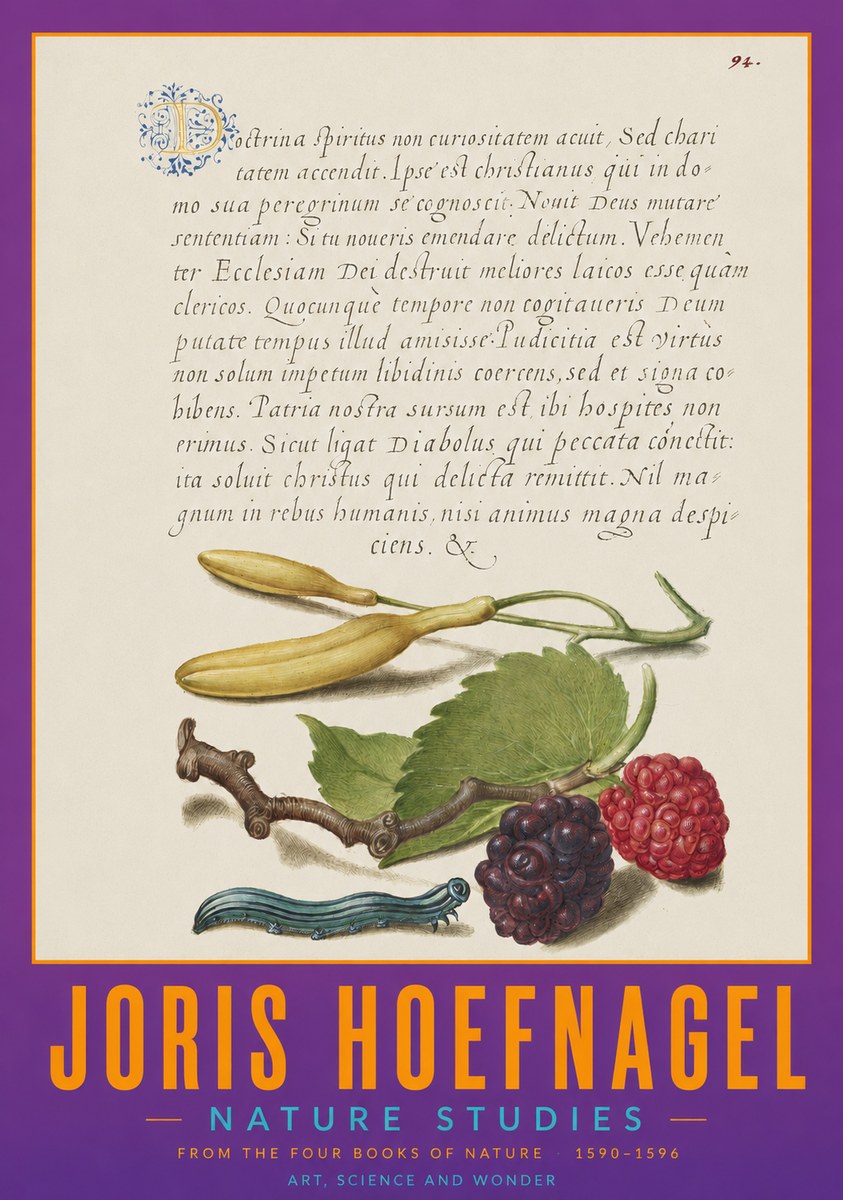 Joris Hoefnagel Nature Studies No2 - Plakat