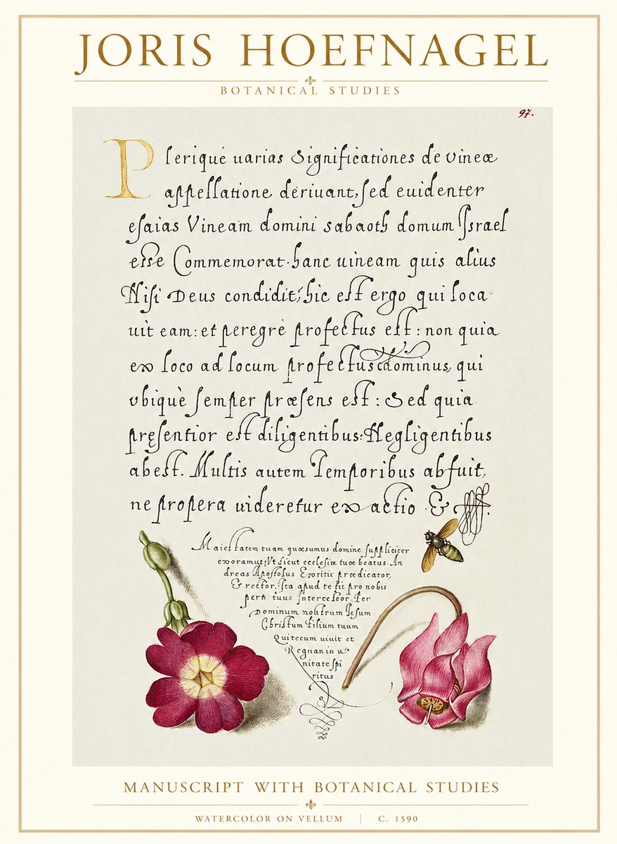 Joris Hoefnagel Manuscript with Botanical Studies No1 - Plakat
