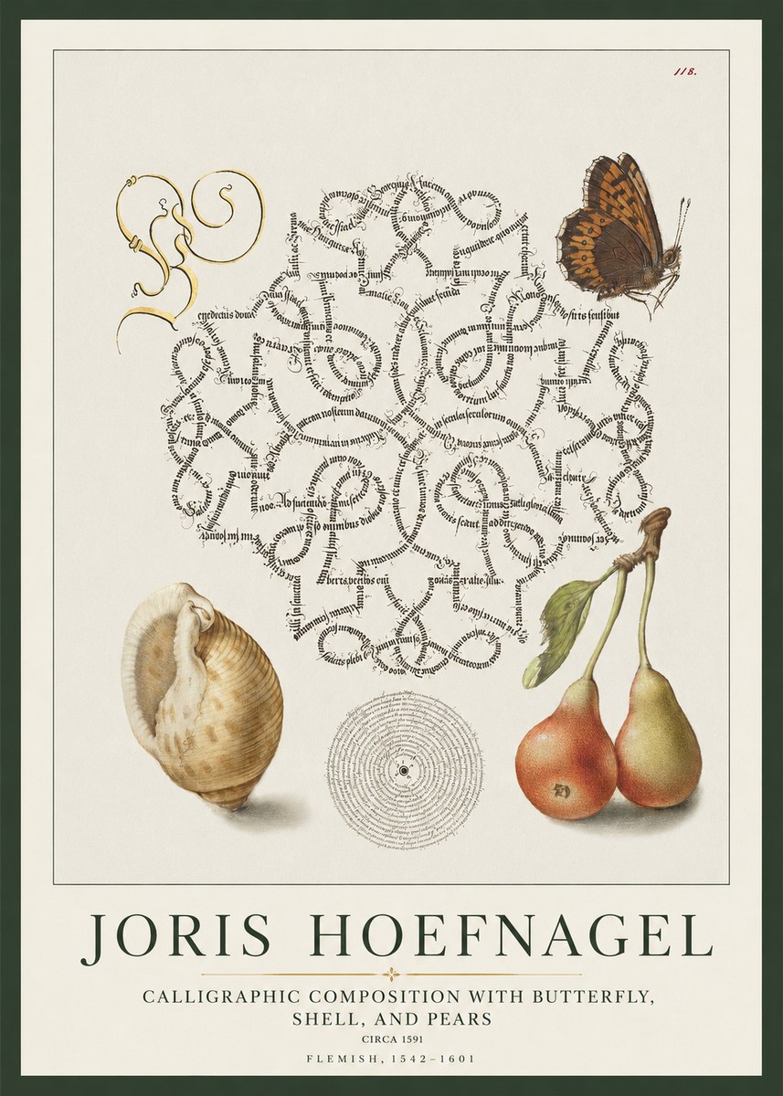 Joris Hoefnagel Calligraphic Composition with Butterfly, Shell, and Pears No1 - Plakat