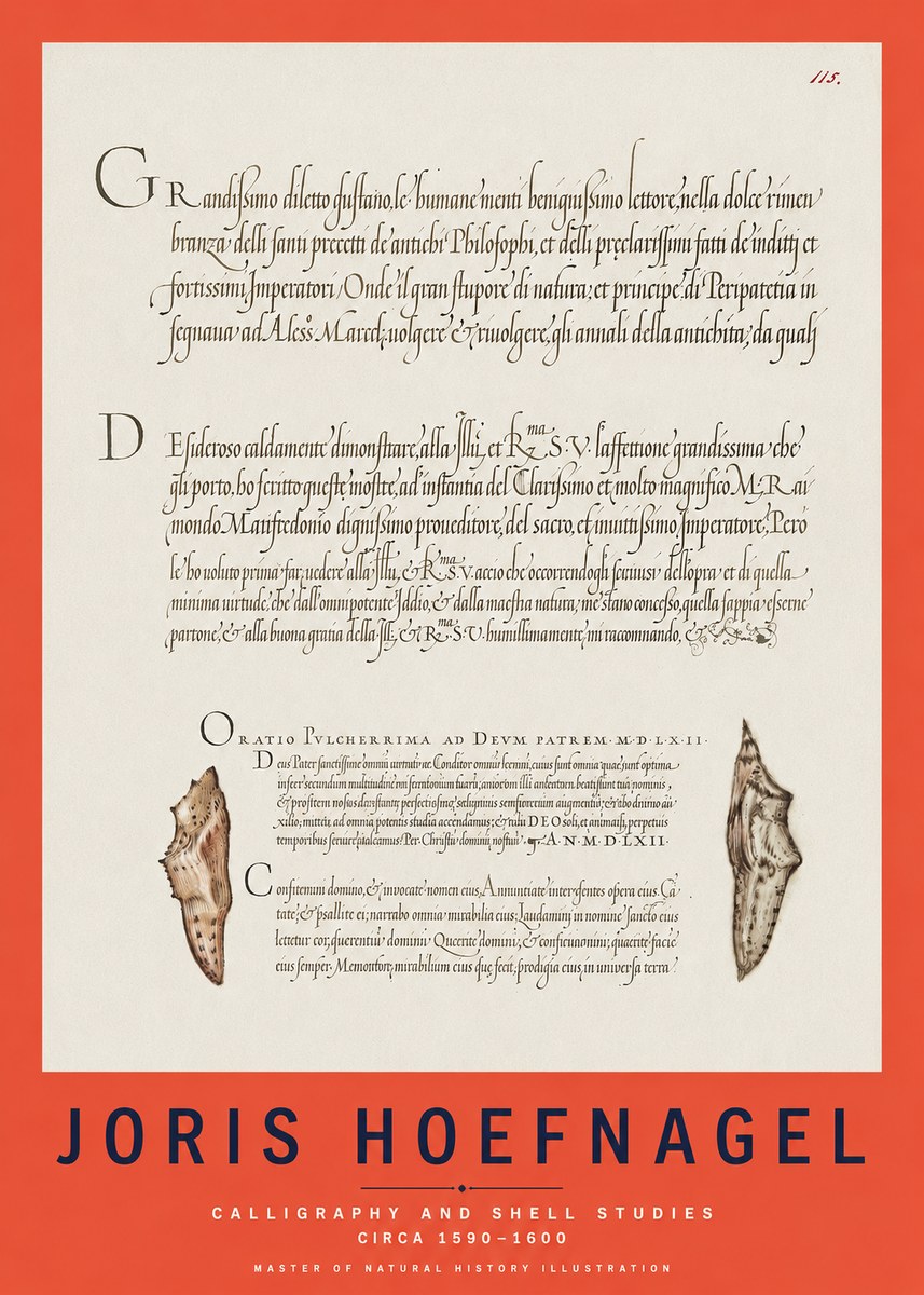 Joris Hoefnagel Study of Shells and Calligraphy No3 - Plakat