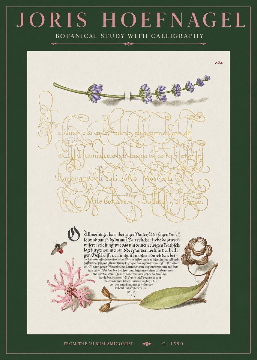 Joris Hoefnagel Botanical Study with Calligraphy IV No2 - Plakat