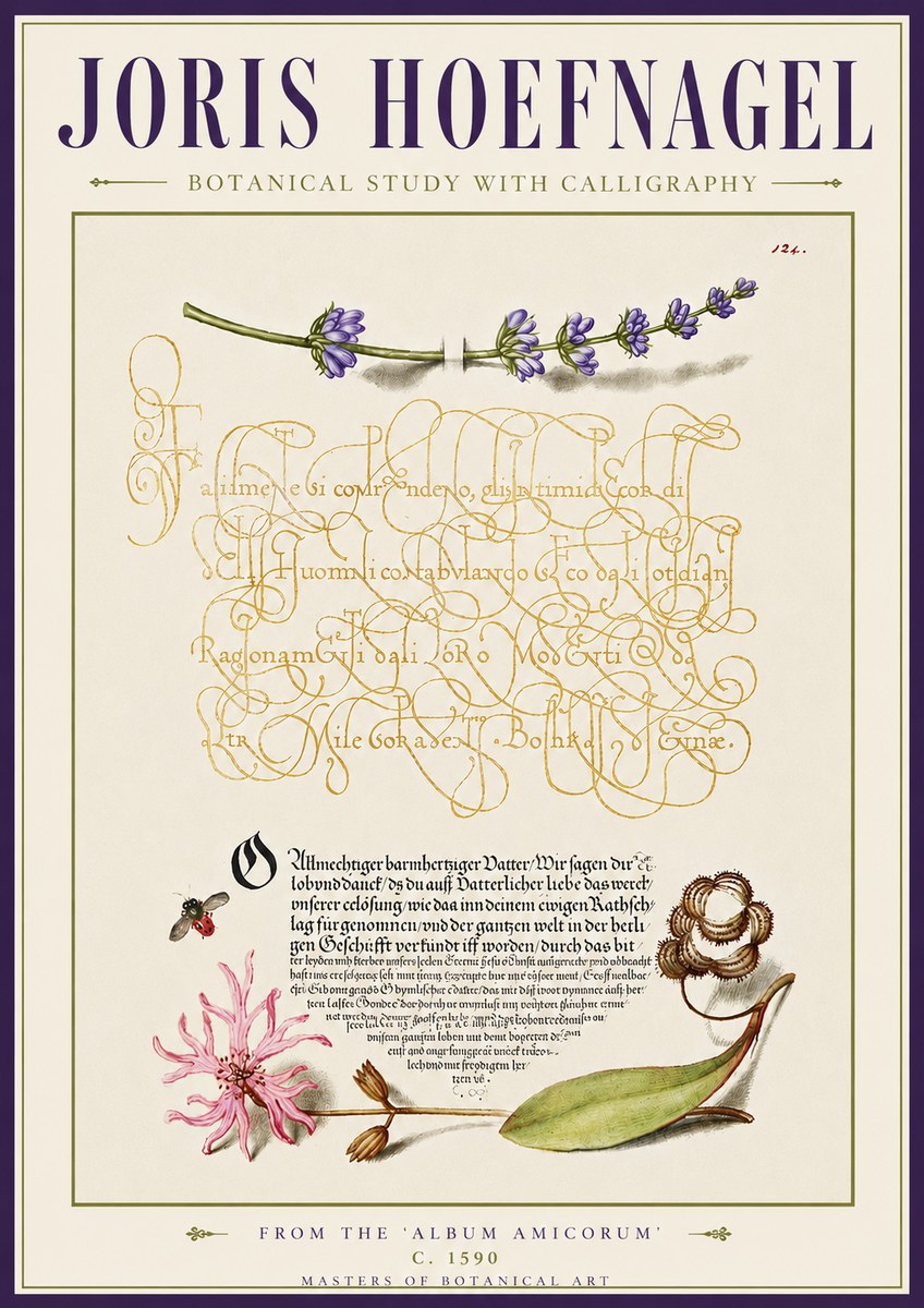 Joris Hoefnagel Botanical Study with Calligraphy IV No5 - Plakat