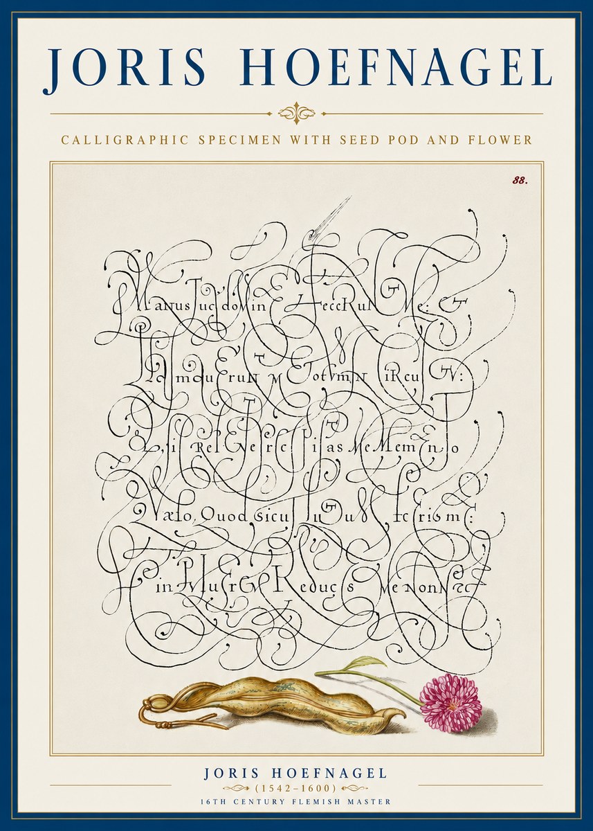 Joris Hoefnagel Calligraphic Specimen with Seed Pod and Flower No5 - Plakat