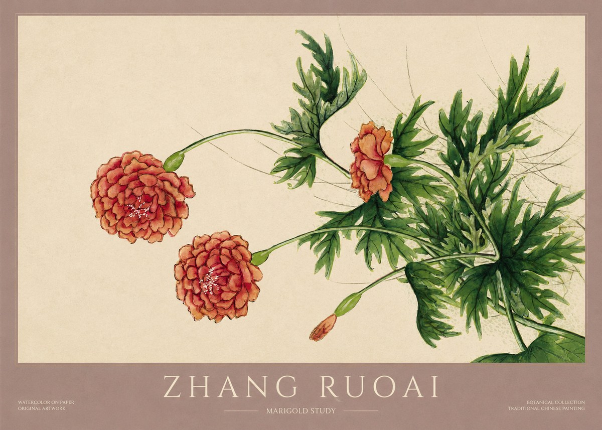 Zhang Ruoai Marigold Study No1 - Plakat
