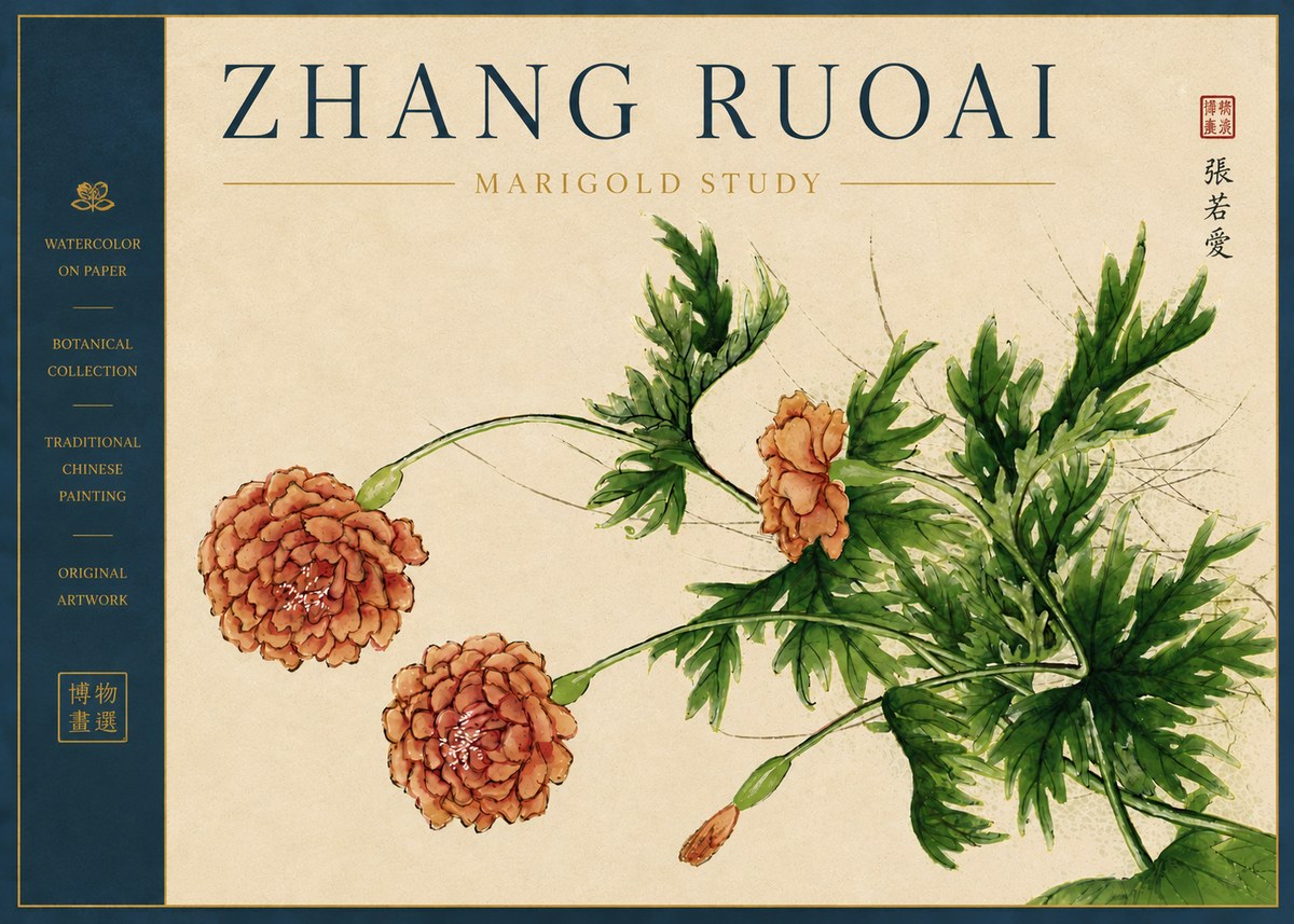 Zhang Ruoai Marigold Study No5 - Plakat