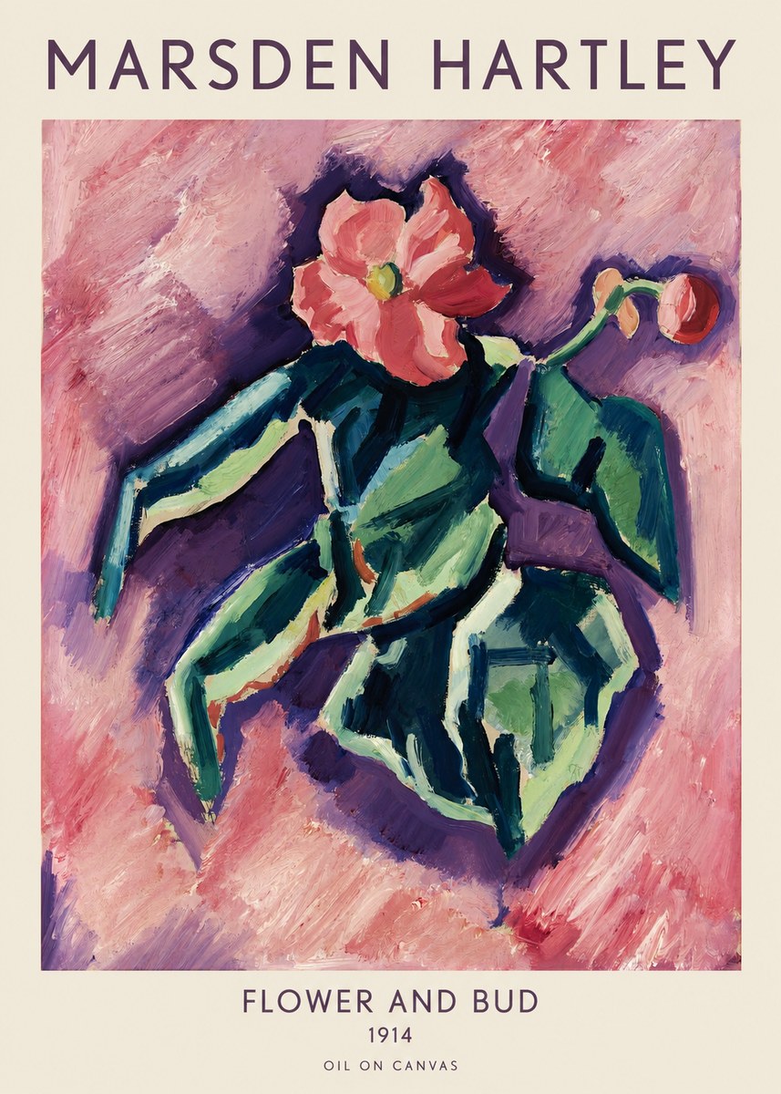 Marsden Hartley Flower and Bud No1 - Plakat