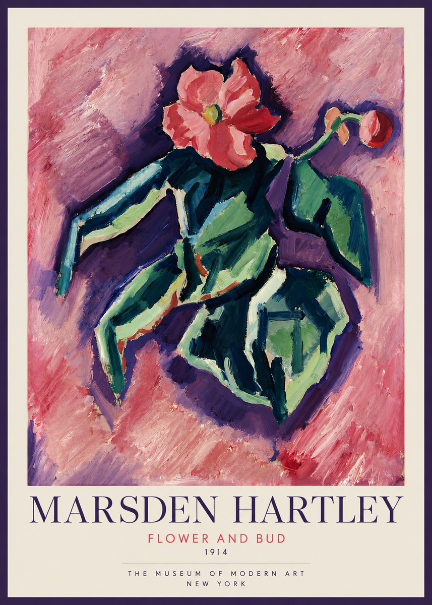 Marsden Hartley Flower and Bud No2 - Plakat