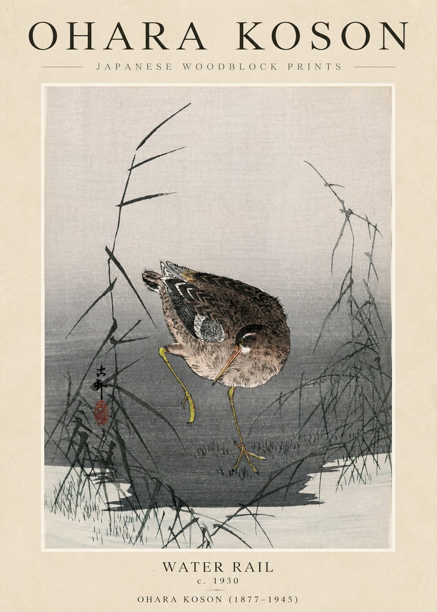 Ohara Koson Water Rail No3 - Plakat