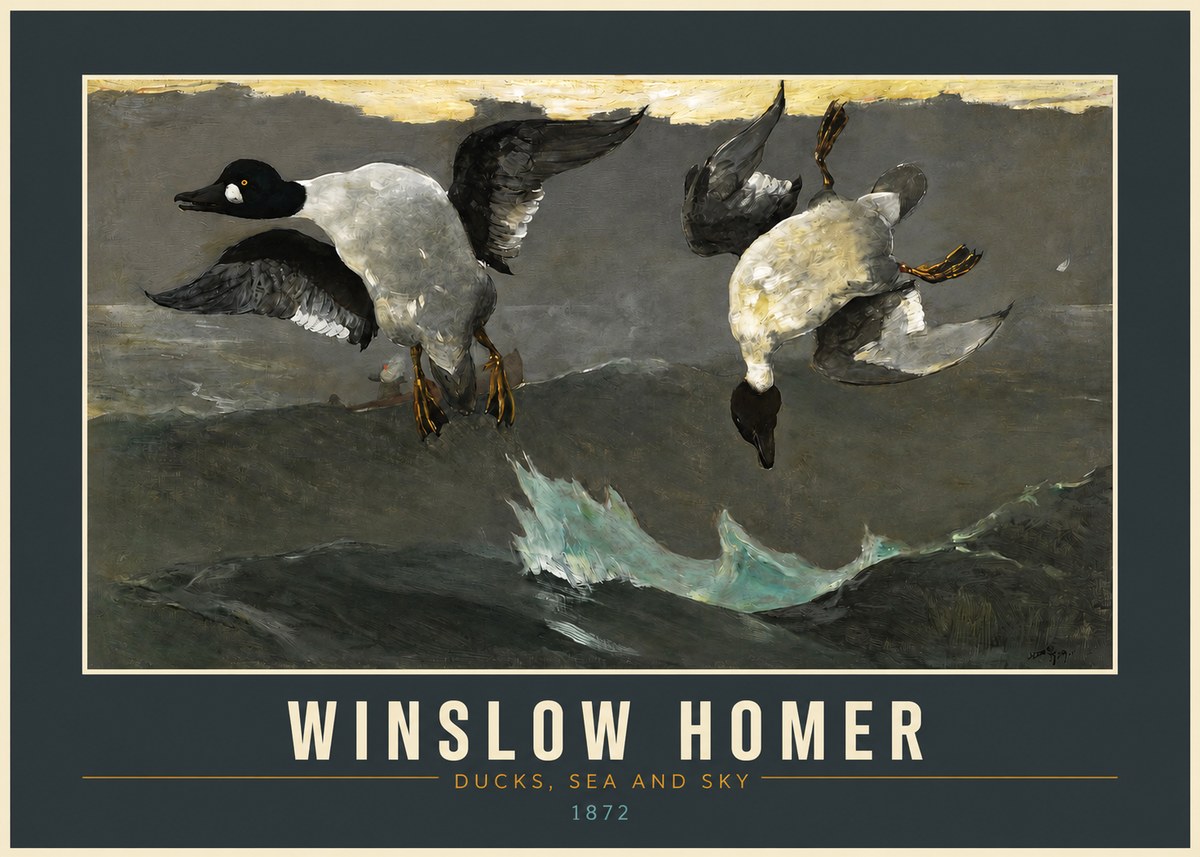 Winslow Homer Ducks, Sea and Sky No2 - Plakat