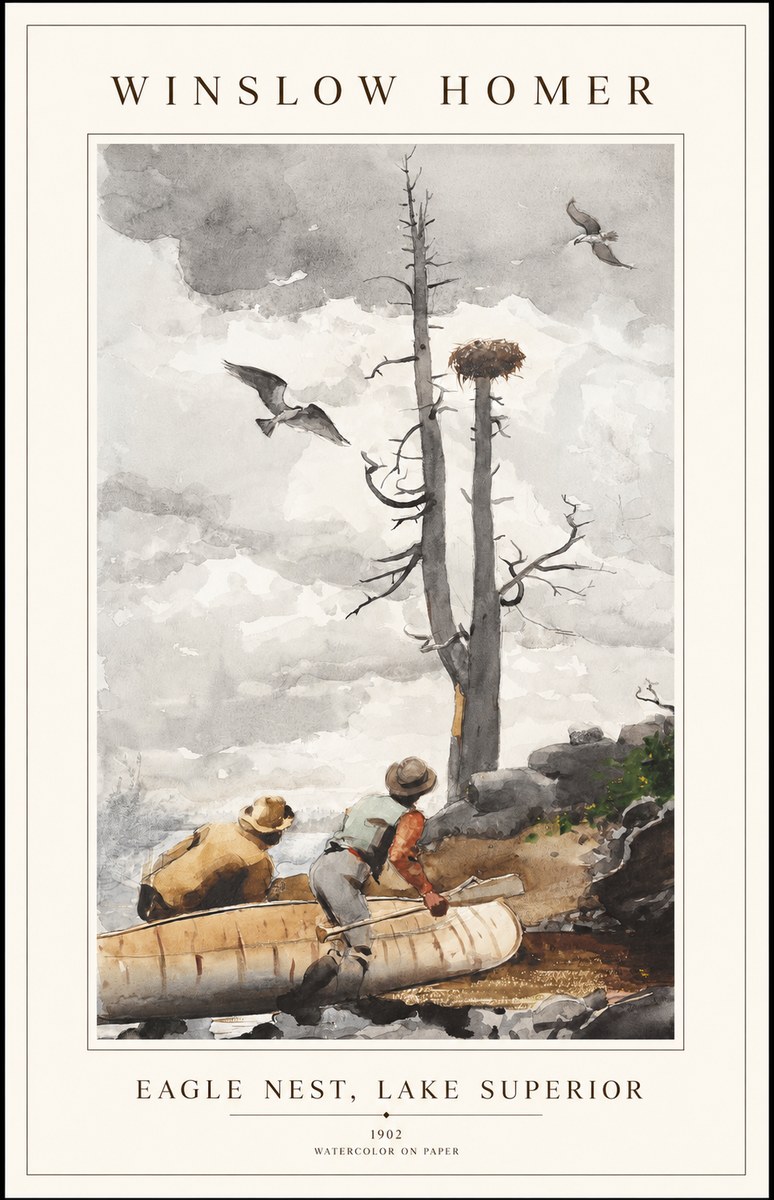 Winslow Homer Eagle Nest, Lake Superior No1 - Plakat