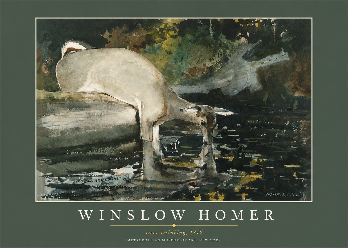 Winslow Homer Deer Drinking No2 - Plakat