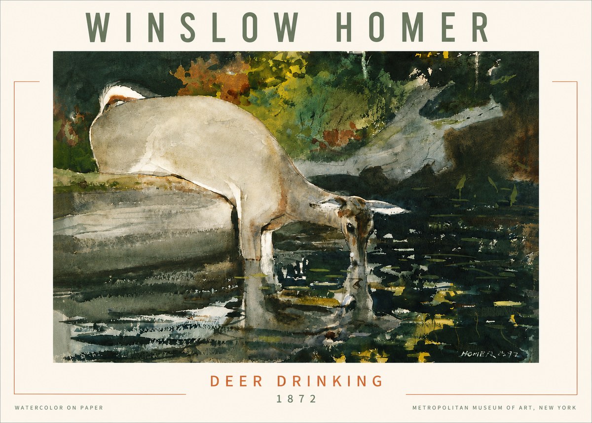 Winslow Homer Deer Drinking No4 - Plakat