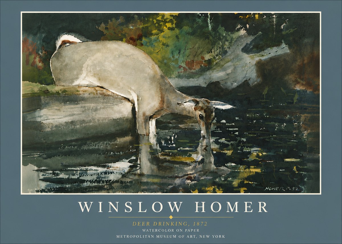 Winslow Homer Deer Drinking No6 - Plakat