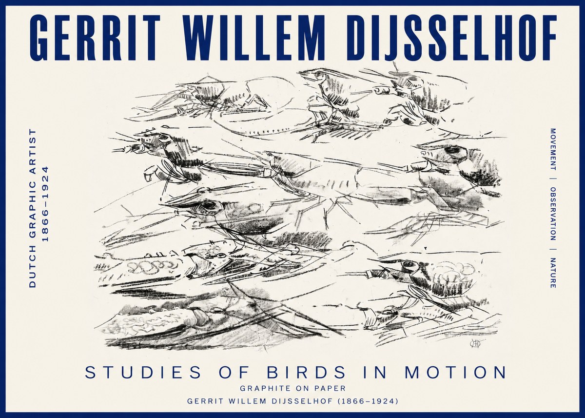 Gerrit Willem Dijsselhof Studies of Birds in Motion No3 - Plakat