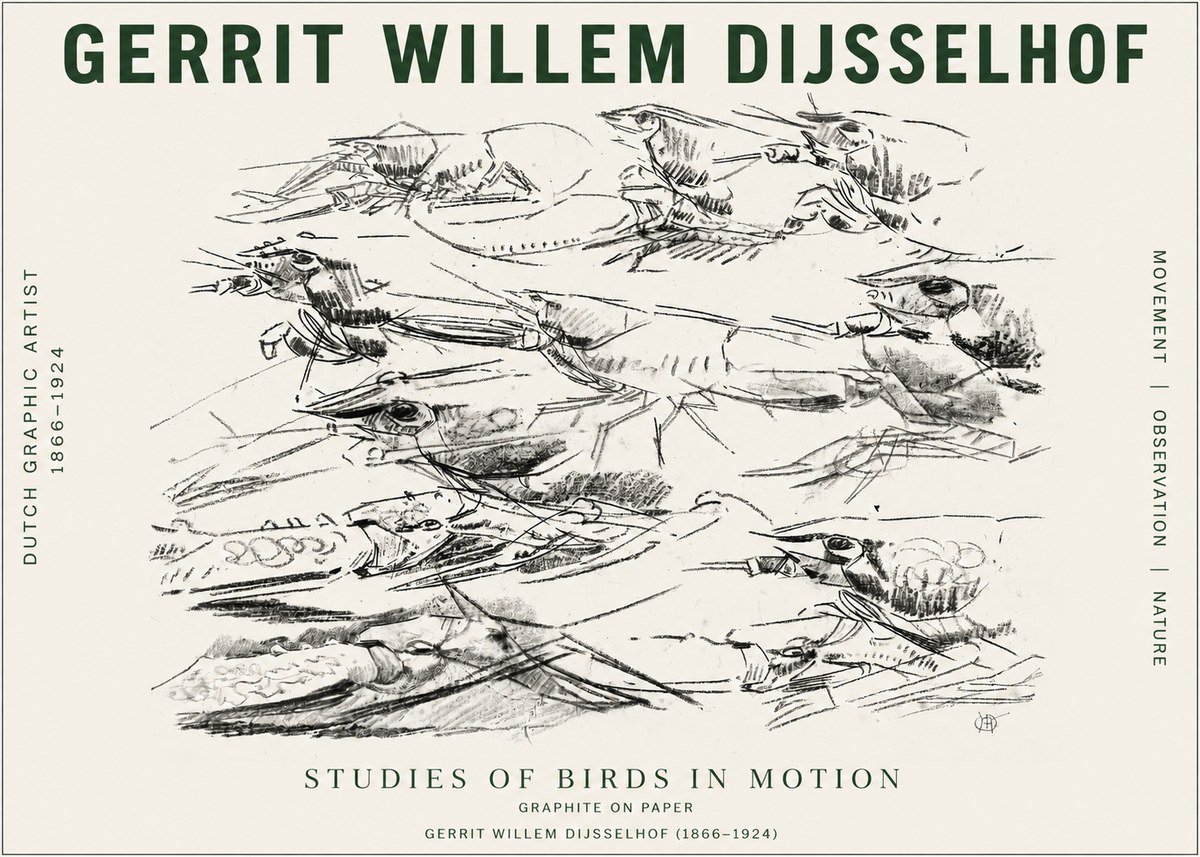 Gerrit Willem Dijsselhof Studies of Birds in Motion No4 - Plakat