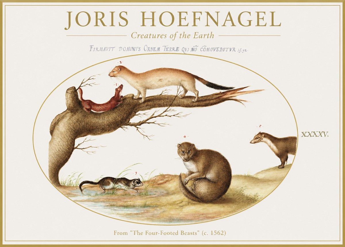 Joris Hoefnagel Creatures of the Earth I No1 - Plakat