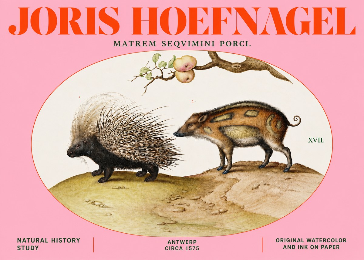 Joris Hoefnagel Matrem Seqvimini Porci. No4 - Plakat