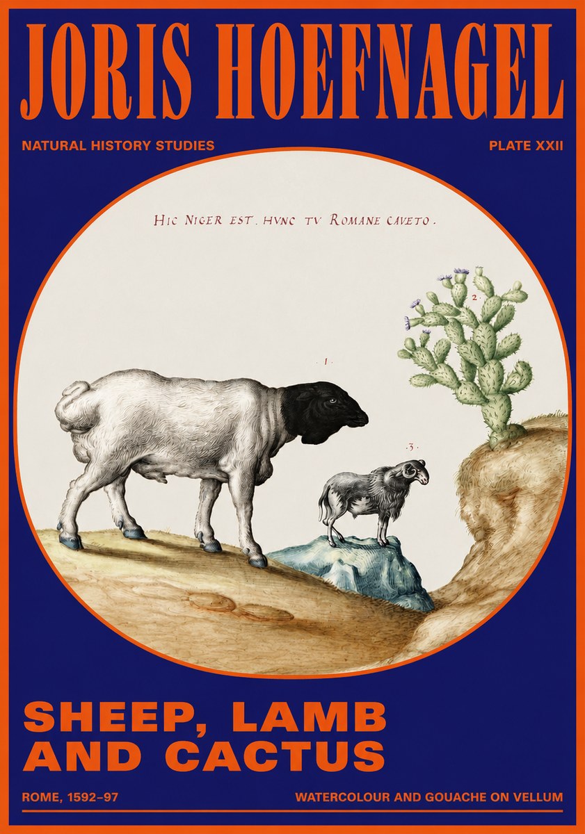 Joris Hoefnagel Sheep and Lamb with Flowering Cactus No5 - Plakat