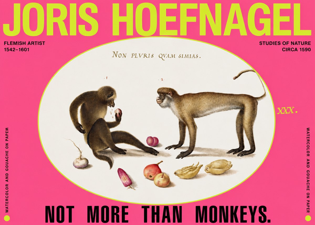 Joris Hoefnagel Not More Than Monkeys No2 - Plakat