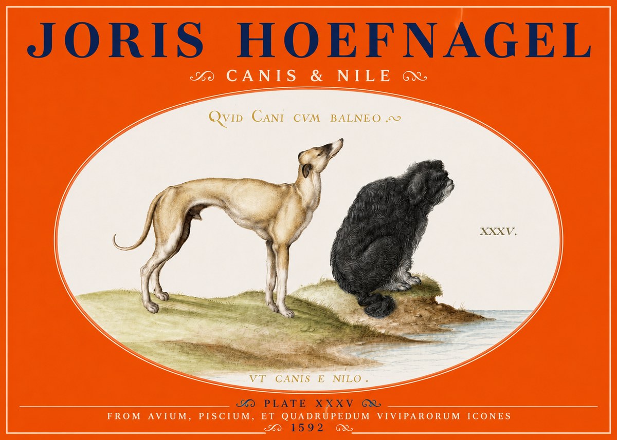 Joris Hoefnagel Neither Can a Dog Live in Baths No5 - Plakat