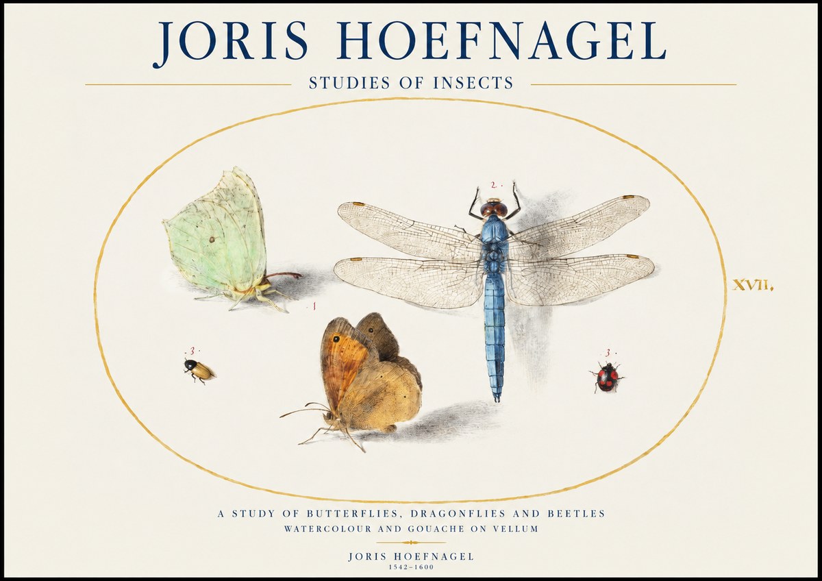 Joris Hoefnagel A Study of Butterflies, Dragonflies and Beetles No1 - Plakat