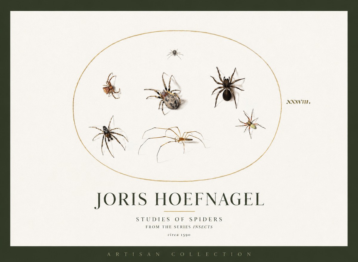 Joris Hoefnagel Studies of Spiders I No2 - Plakat