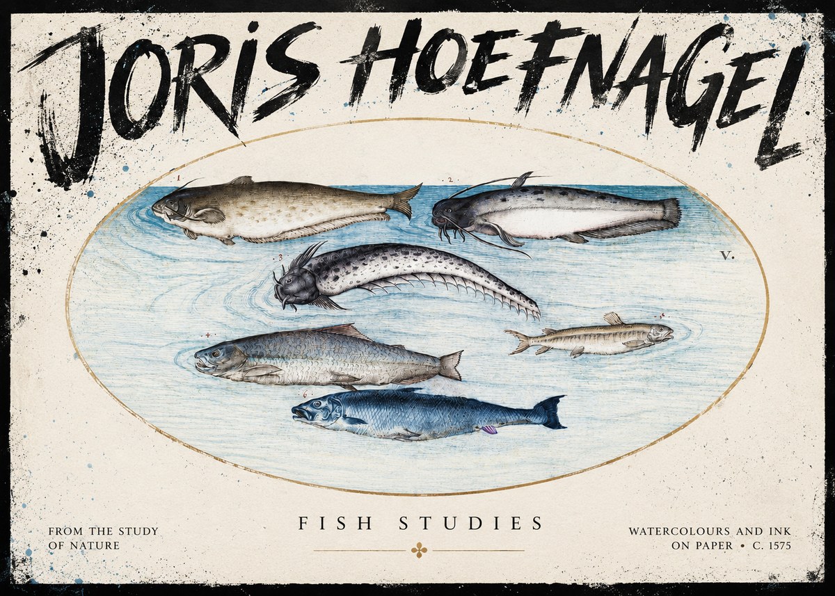 Joris Hoefnagel Fish of the Waters No5 - Plakat
