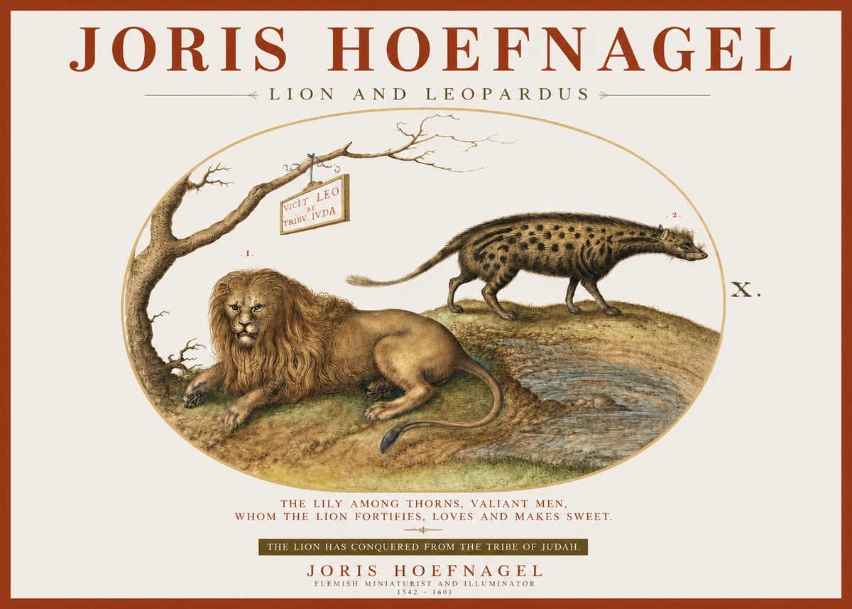 Joris Hoefnagel Lion and Spotted Hyena No4 - Plakat