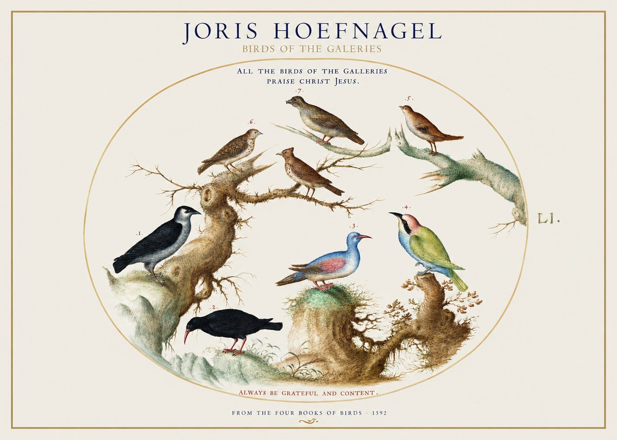 Joris Hoefnagel Birds of the Galeries No1 - Plakat