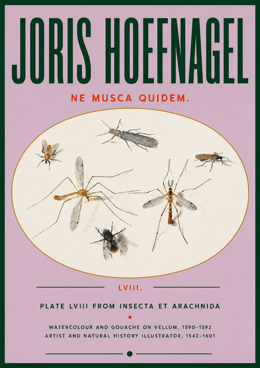 Joris Hoefnagel Plate Lviii from Insecta Et Arachnida No4 - Plakat