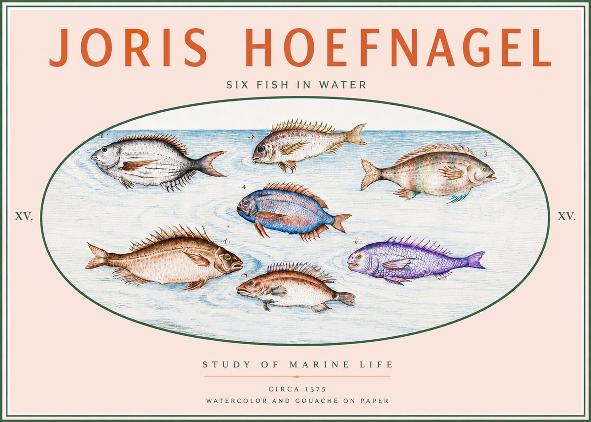 Joris Hoefnagel Six Fish in Water No3 - Plakat
