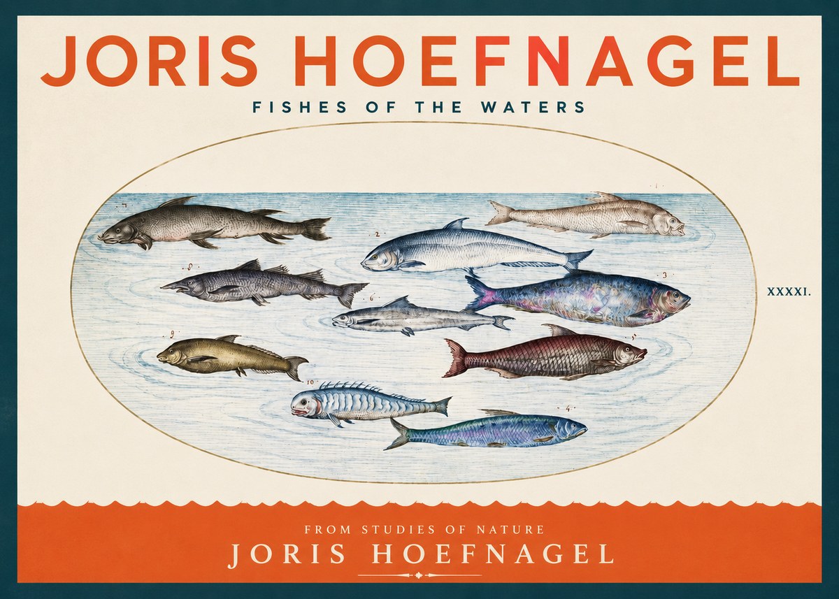 Joris Hoefnagel Fishes of the Waters II No2 - Plakat
