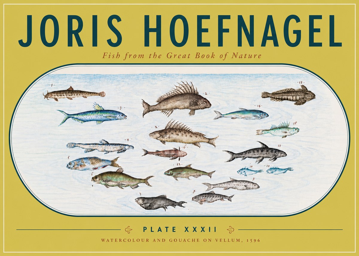 Joris Hoefnagel Fish from the Great Book of Nature No6 - Plakat