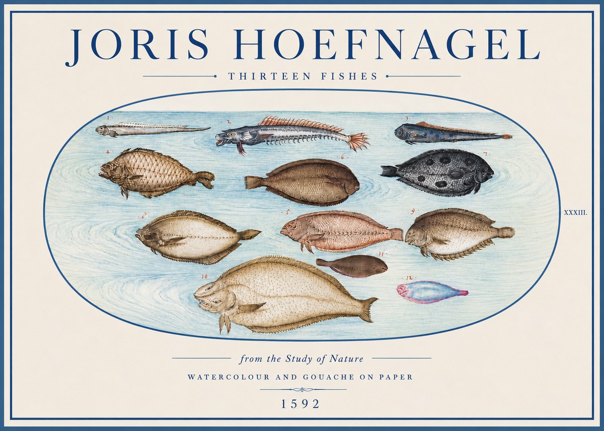Joris Hoefnagel Thirteen Fishes from the Study of Nature No4 - Plakat