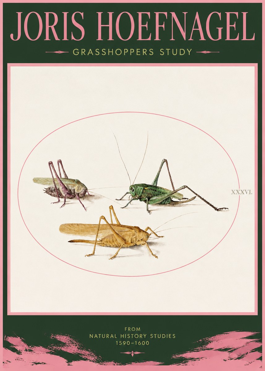 Joris Hoefnagel Grasshoppers Study No2 - Plakat