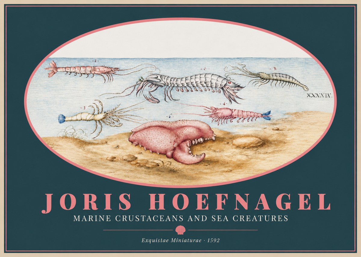 Joris Hoefnagel Marine Crustaceans and Sea Creature No2 - Plakat