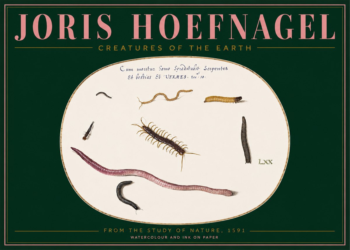 Joris Hoefnagel Creatures of the Earth II No2 - Plakat