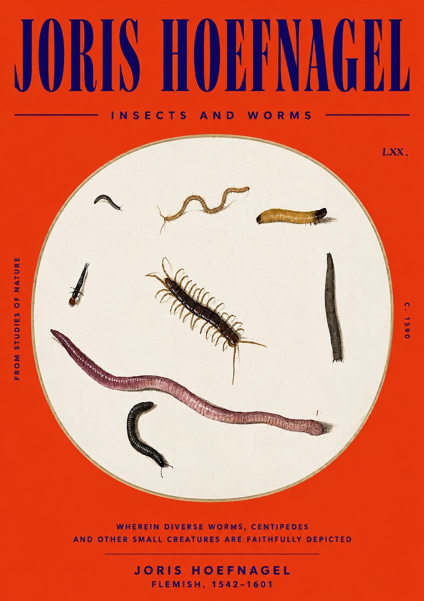 Joris Hoefnagel Creatures of the Earth II No6 - Plakat
