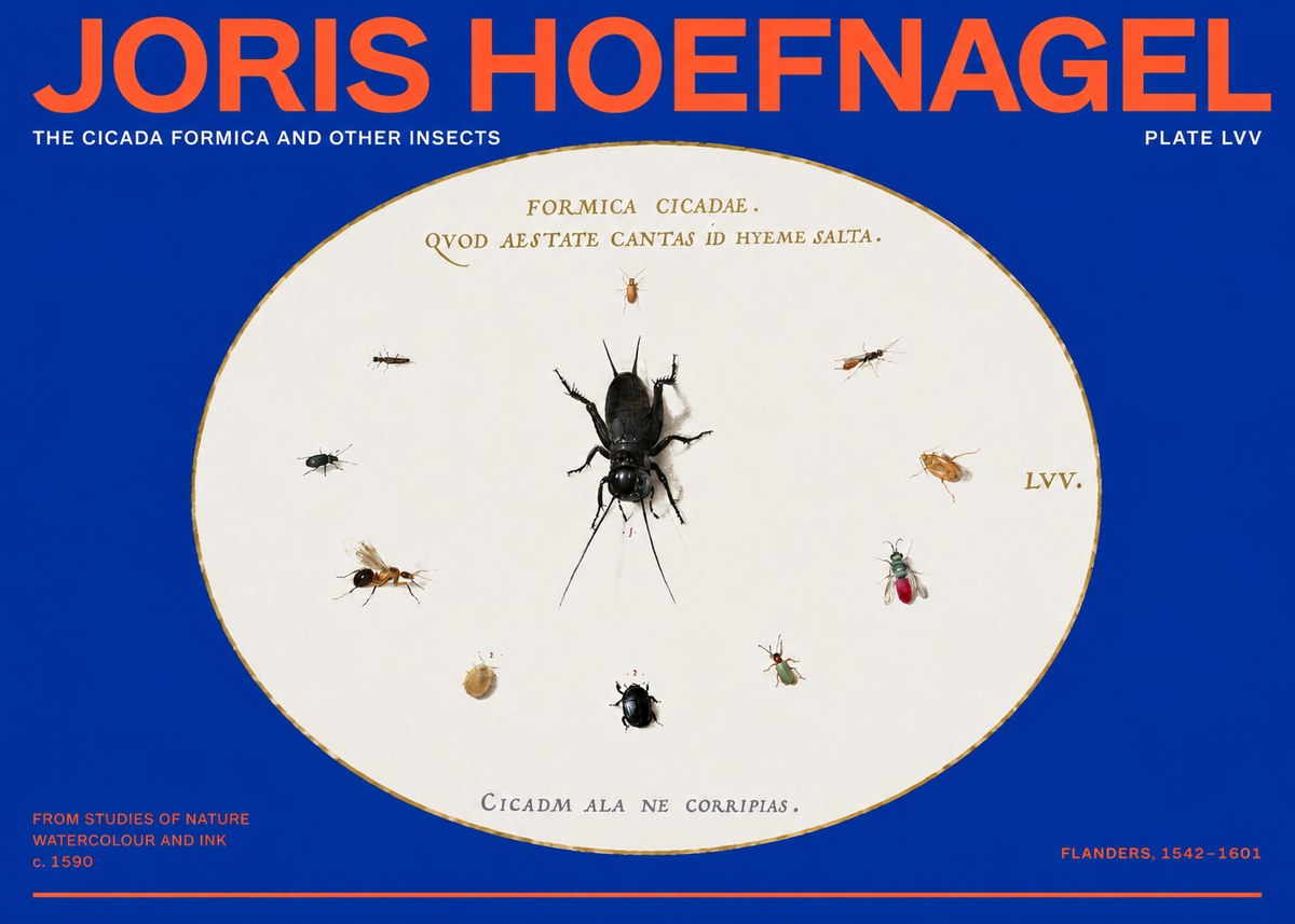 Joris Hoefnagel Formica Cicadae No6 - Plakat