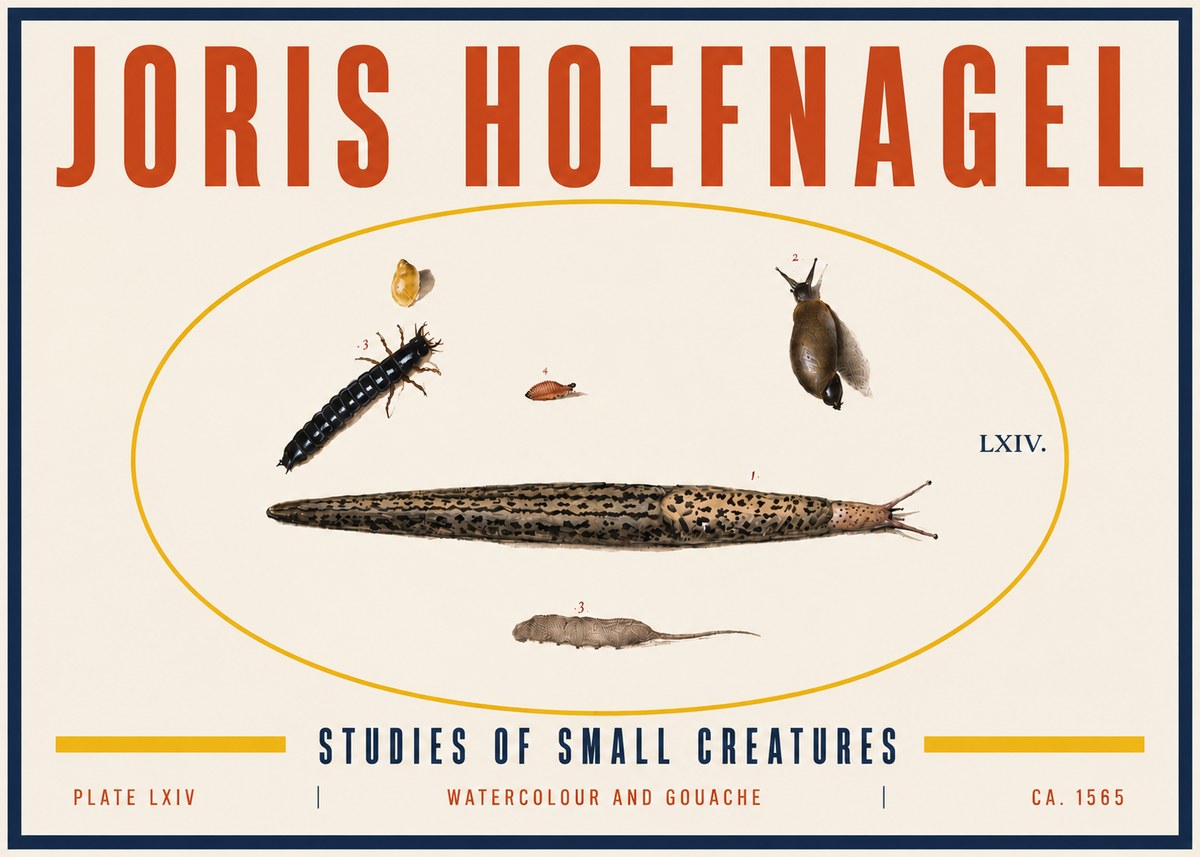 Joris Hoefnagel Plate Lxiv No6 - Plakat