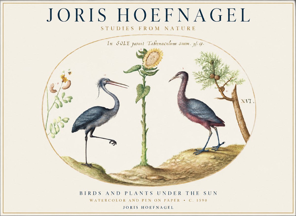 Joris Hoefnagel Birds and Plants Under the Sun No1 - Plakat