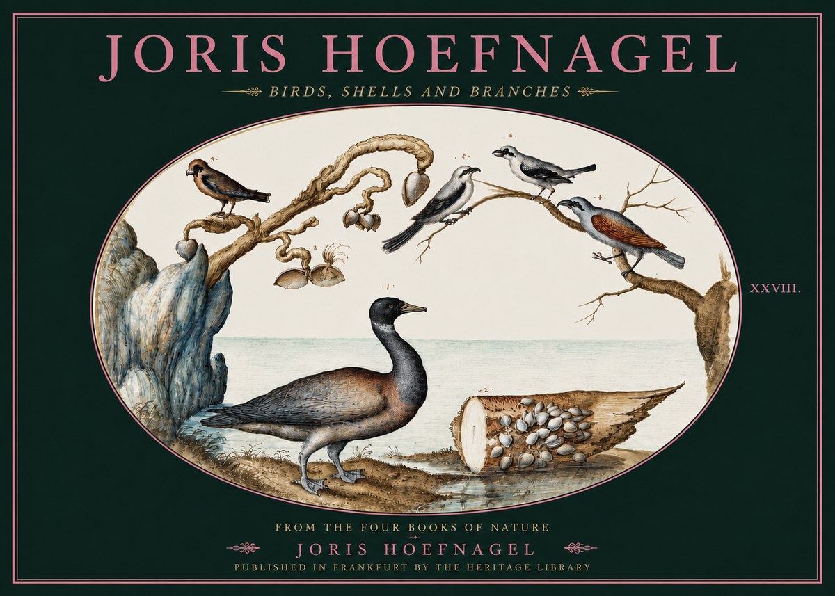 Joris Hoefnagel Birds, Shells and Branches No4 - Plakat