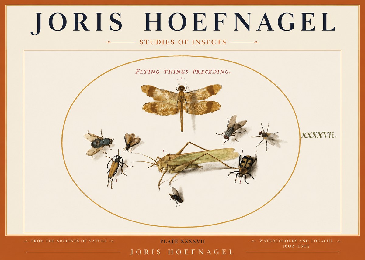 Joris Hoefnagel Flying Things Preceding. No3 - Plakat