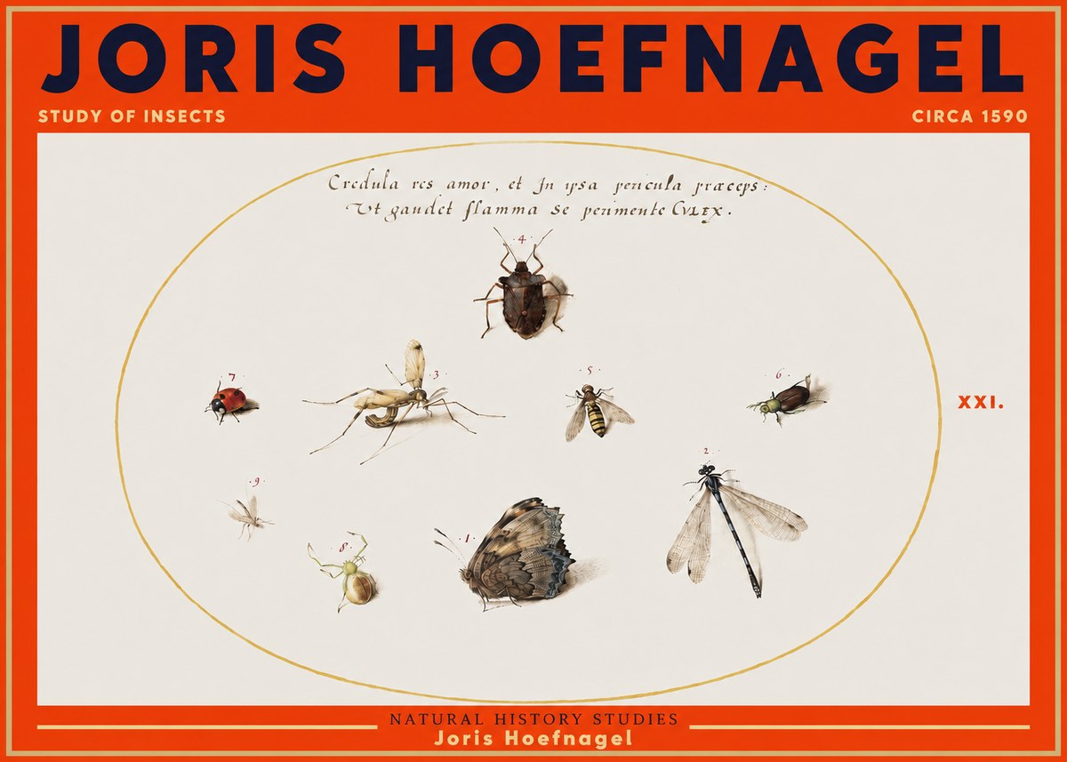 Joris Hoefnagel Study of Insects • Circa 1590 No3 - Plakat
