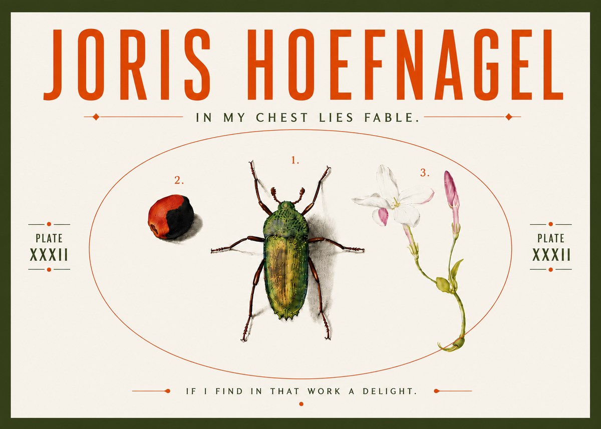 Joris Hoefnagel In My Chest Lies Fable No5 - Plakat