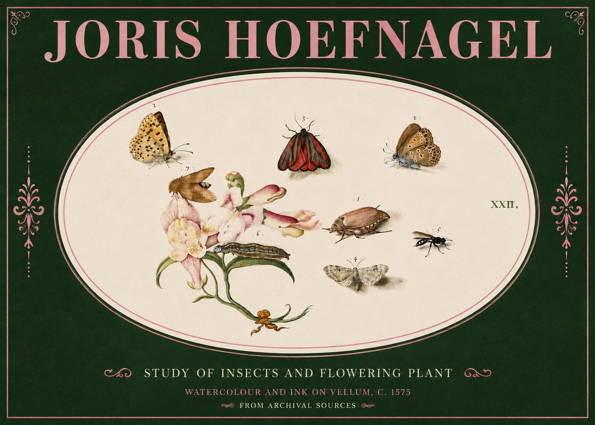 Joris Hoefnagel Study of Insects and Flowering Plant No4 - Plakat