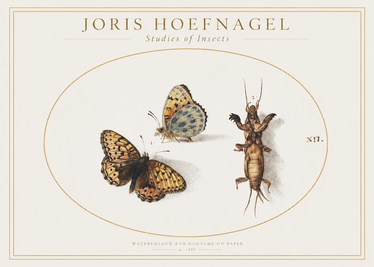Joris Hoefnagel Studies of Insects Xii No1 - Plakat