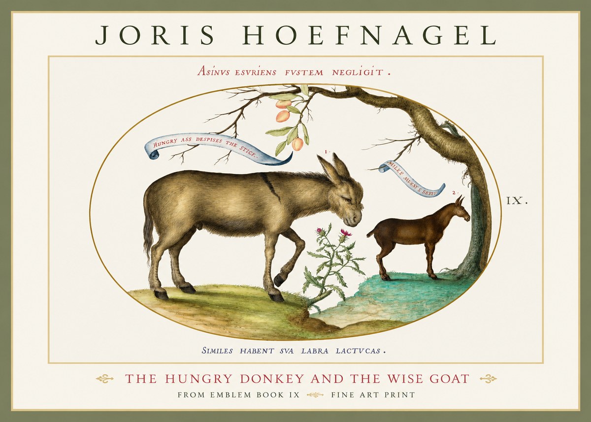 Joris Hoefnagel The Hungry Donkey and the Wise Goat No1 - Plakat