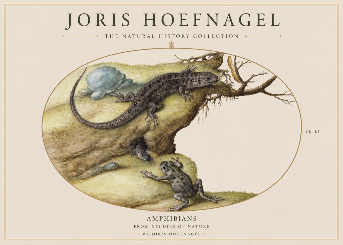 Joris Hoefnagel Amphibians from Studies of Nature No1 - Plakat