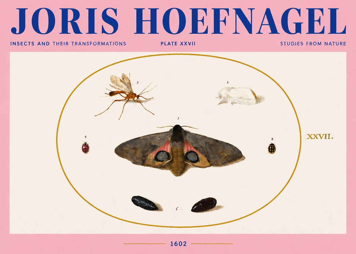 Joris Hoefnagel Insects and Their Transformations - Plate Xxvii No4 - Plakat